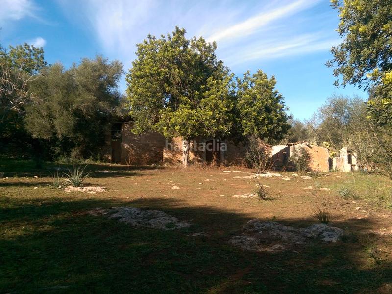 Foto d8f34abc-13ad-459e-8a1f-67c518a60676. Fondo rustico in carrer arraval 0 in Llubí