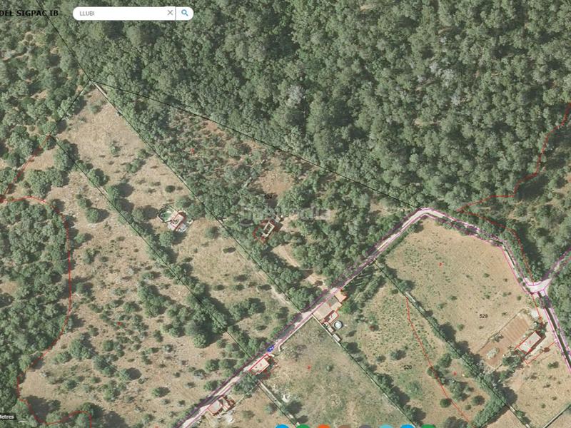 Foto e013f577-7c6e-472b-ad55-8fab5457d83b. Fondo rustico in carrer arraval 0 in Llubí