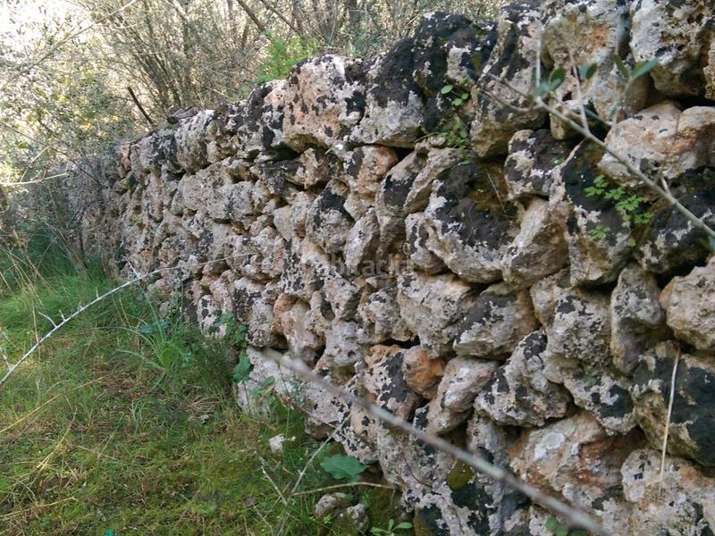 Foto e4003943-3356-4b15-aaee-518e67a3dafc. Fondo rustico in carrer arraval 0 in Llubí