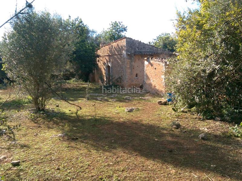 Foto f66d55d0-7f2f-4f2a-a500-5ed10730fe08. Fondo rustico in carrer arraval 0 in Llubí