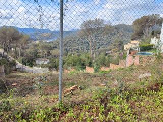 Terreny residencial a Mil pins 55. Terreno edificable en dosrius