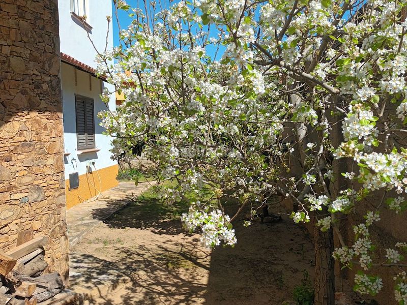 Foto 2445529b-7f82-470c-a643-6dbf77b003e8. Casa a dels termes 6 a Riells Escala (L´)