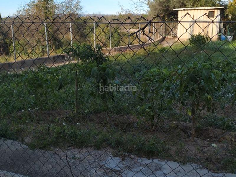 Foto 58dffe0c-fdcc-4e03-bbd3-36b9f80df270. Finca rústica a camino santa úrsula 10 a Caudiel