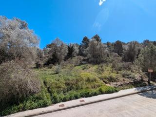 Terreny residencial a Pujada de la serra 9. Terreny urbà de 638 m² amb vistes, natura i tots els serveis