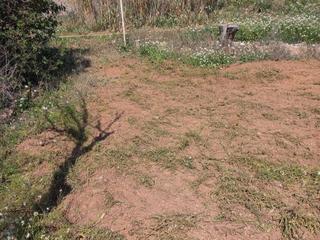Finca rústica a Camí de joncadella 0. Parcel·la hort 275m2