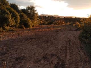 Finca rústica a C/ sant joan 12. Terreno rústico en venta