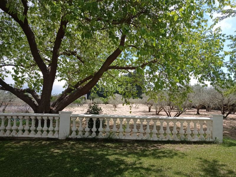 Foto fdc8b649-3070-4d82-a4c3-8e37190a7c7a. Masía en cotera del armajal 295 finca en venta – vivienda con piscina, pinada y vistas a la sierra de onil en Castalla