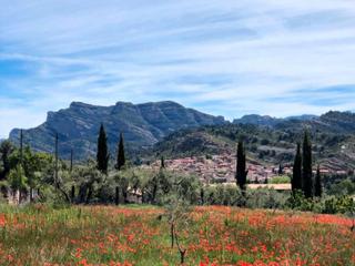 Finca rústica a Barranc dels olivars s/n. Zona tranquila con buenas vistas