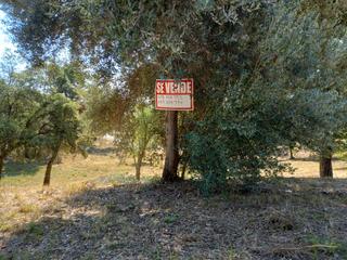 Terreny residencial a Urbanitzacio mas llunes 1869. 45000 € negociables : magnífic terreny residencial a 25 minuts d