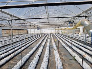Finca rústica a Camino de algarrobo 1. Venta de invernaderos en velez malaga