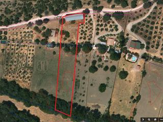 Finca rústica a Travesía tercia 76. Se vende finca rústica de regadío en el paraje natural de la yed