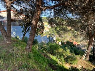 Terreno residencial en Castello 21. Dos parcelas en los pinares, c/castello, 21, 23