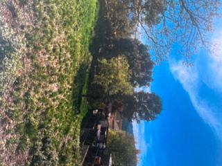 Terreny residencial a Sabines 7. Venta de terreny amb estudis