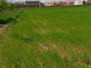 Finca rústica a Cuartillejo polig.1 parcela 27. Terreno regadio 2ª línea ctra. n-401a