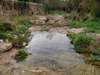 Finca rústica a N-2 774. Hort amb 2 pous, çaseta i el riu al costat!