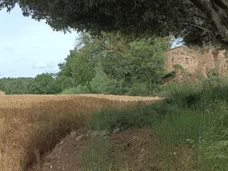 Masia a Carrer afores 135