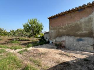 Rural plot in Camí de la borrasa 75. Finca 10 hanegadas entrada por 2 caminos , por camino la borrasa