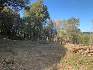 Wohngrundstück in Bosc del masso  4. Ubicacion privilegiada: urbanización el montanyà, incluida bajo