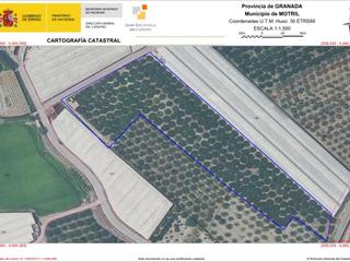 Finca rústica a Diseminado los coscurros p12 149. Venta finca en pueblonuevo motril