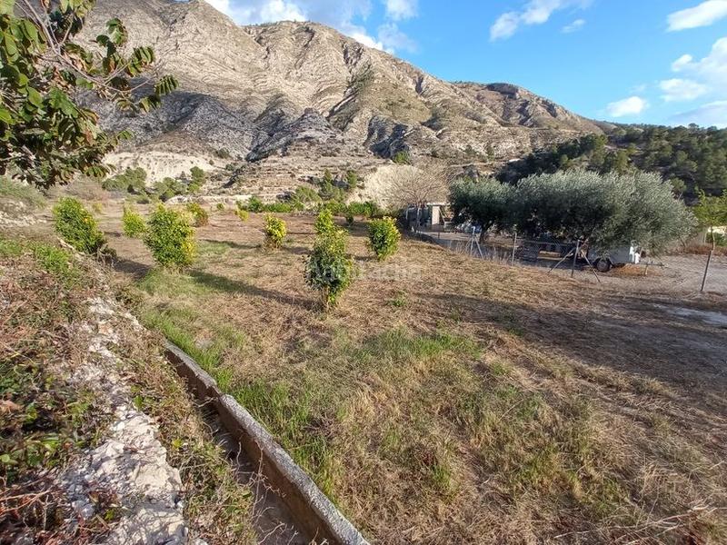 Foto 75d94e15-d6e9-4c89-9601-7aa6fa163df2. Finca rústica a avinguda de la constitució 5 a Orxeta