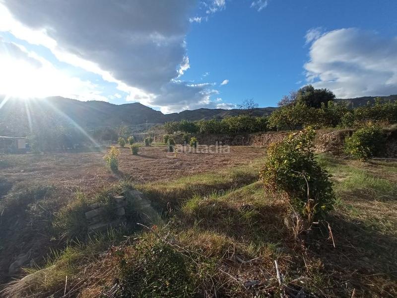 Foto 872f5037-a0d1-4443-ab28-140932213648. Finca rústica a avinguda de la constitució 5 a Orxeta