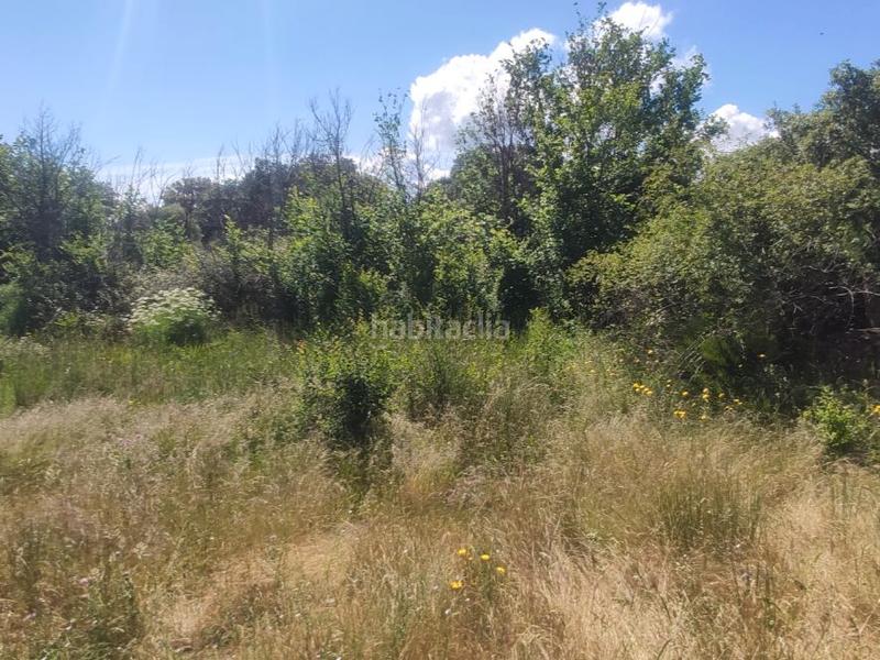 Foto a8bae9e7-e060-4742-afb0-e8b7aa4d53d2. Finca rústica a calvario 1 a Serrejón