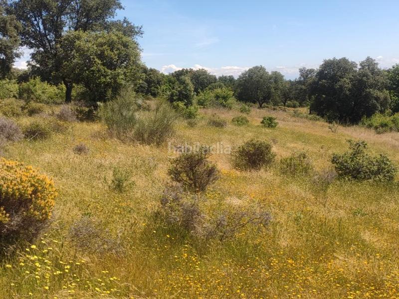 Foto b00b399d-9f45-402f-836a-c4d133cc812c. Finca rústica a calvario 1 a Serrejón