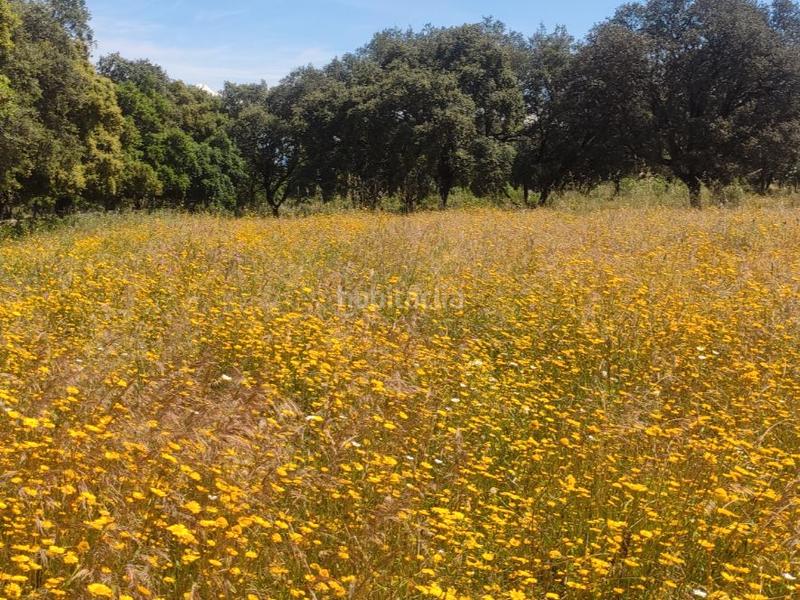 Foto f1e5f9a6-092f-410c-8328-6829587b0e28. Finca rústica a calvario 1 a Serrejón