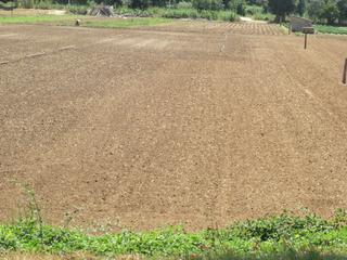 Finca rústica a Passeig de josep pla 12. Terreno rústico 13.617m2