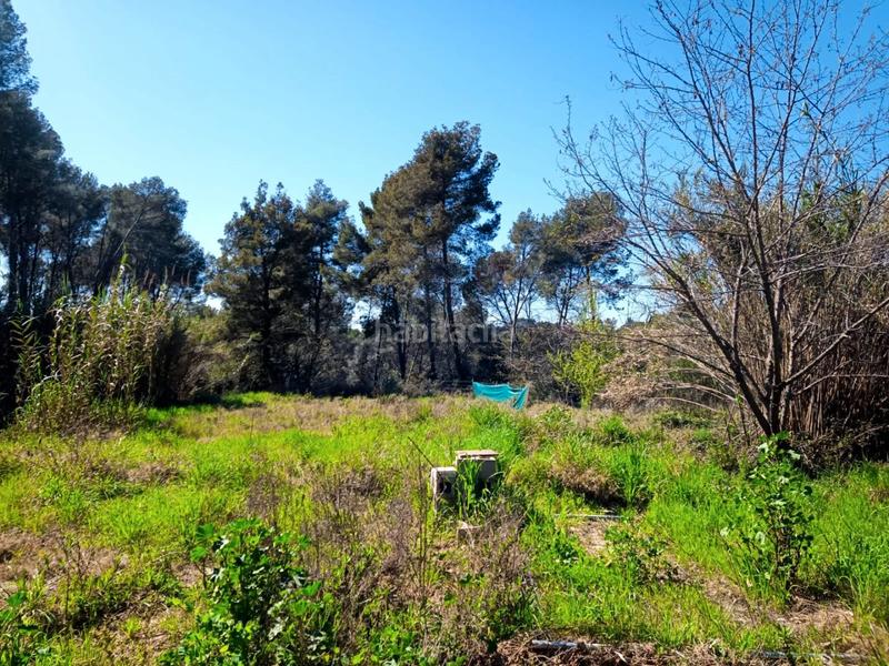 Foto fcb32cf7-19ac-4eb8-8a2e-e7bfad90e17a. Terreno residencial en camelies 1 espectacular terreno de 2500m2 en Rubí