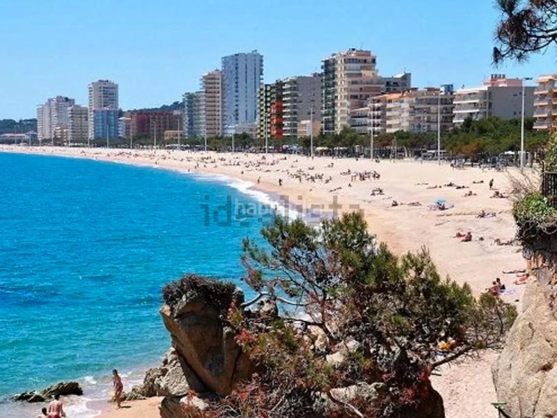 Foto 71e649fb-08f3-4a50-a043-23f7a9b6dd33. Location studio dans passeig maritim 166 dans Centre-Platja Platja d´Aro