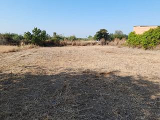 Finca rústica a C-53 1. Terreny en venda a la ràpita