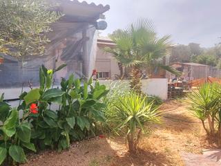 Mas à Camí carretas 159. Traumhafte finca rustica in vinaròs – mediterranes leben auf 5.0