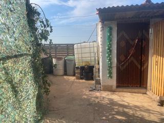 Rent Rural plot in Camí del molí 1. ?? se alquila terreno en beniparrell