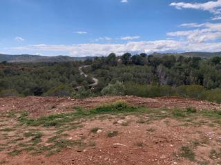 Terreny residencial a Carrer zamora 9. Venta de terreno en el priorato de la bisbal