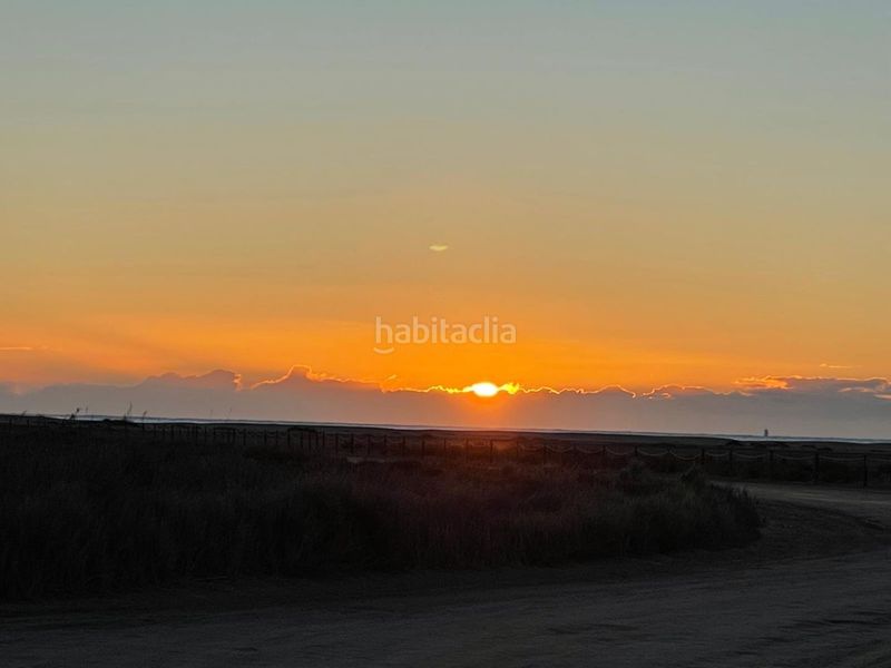 Foto afe40377-0121-402b-8a3d-15edf06ec25b. Xalet a eucaliptus 6 a Eucaliptus - Poble Nou del Delta Amposta