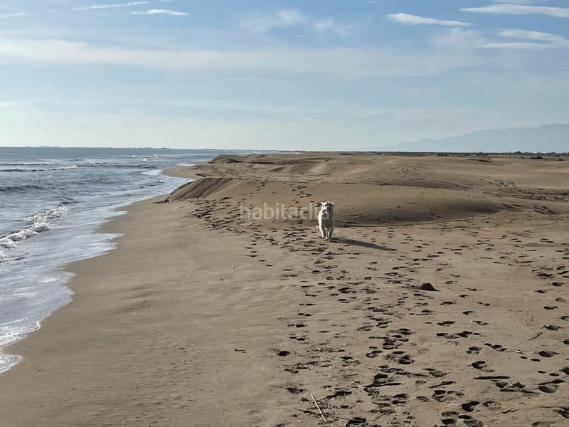 Foto fb07b878-f61b-437a-b055-6c07131147f5. Xalet a eucaliptus 6 a Eucaliptus - Poble Nou del Delta Amposta