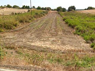 Rural plot in Carretera arta 1,4. Finca de santa margarita
