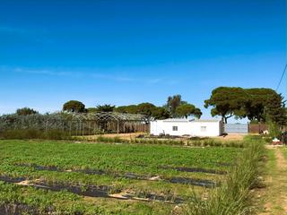 Finca rústica a Majales 168. Excelente oportunidad terreno con casa de campo cerca costa ball