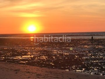 Foto 7026114f-dc61-4489-83d3-44d0beec9456. Finca rústica a majales 168 a Centro Chipiona