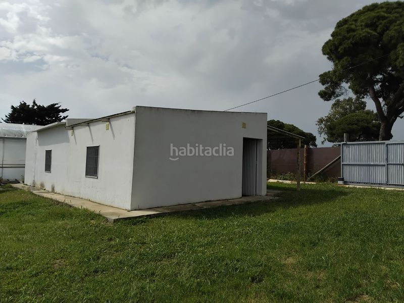 Foto fb6b0d9e-6522-42b3-b2dc-9277e7c9dbd0. Finca rústica a majales 168 a Centro Chipiona