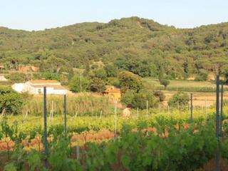 Propriété à Carretera tordera 4. Rustic land in spain
