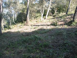 Residential Plot in Passarell 14. Terreno urbanización el farell