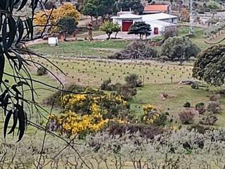 Masia a Crta serradilla 0. Preciosa finca con nave/vivienda y olivar