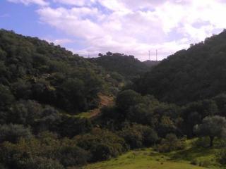 Propriété à Lugar urbanizacion doña manuela 6b. Finca/cortijo/hacienda cinegética caza menor, ganadera, agrícola
