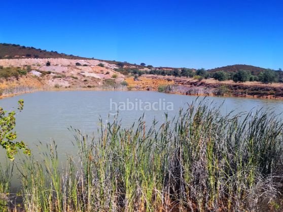 Foto d5471c99-5257-47a4-a115-5b304702767b. Finca rústica a parcela 191 a Zalamea de la Serena