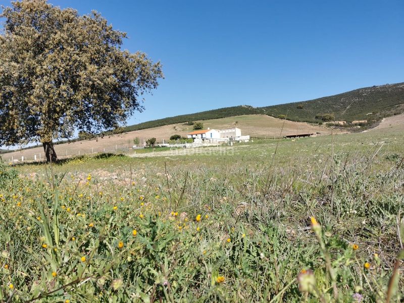 Foto d60c3ab6-e932-4f89-a0ee-2c73fc583c8a. Finca rústica a parcela 191 a Zalamea de la Serena