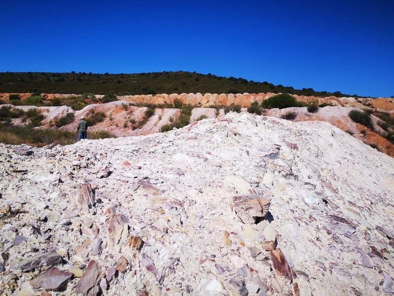 Foto eacd6768-1129-4104-9fe5-b01a53078f7b. Finca rústica a parcela 191 a Zalamea de la Serena