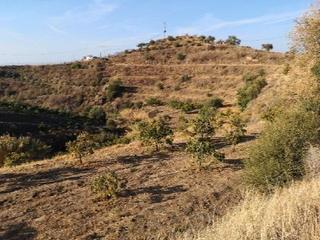 Finca rústica a Diseminado real bajo 20. Finca rustica en velez malaga