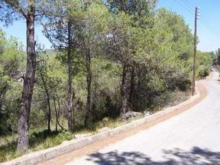 Terreno residencial en Camí de pinedes altes 14. En plena naturaleza